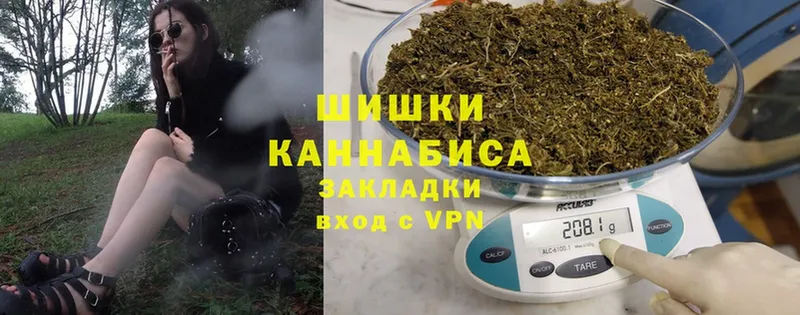 где купить наркоту  Касли  Шишки марихуана сатива 